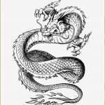 Tattoo Vorlagen Pdf Erstaunlich Fein Keltische Vorlagen Fotos Entry Level Resume