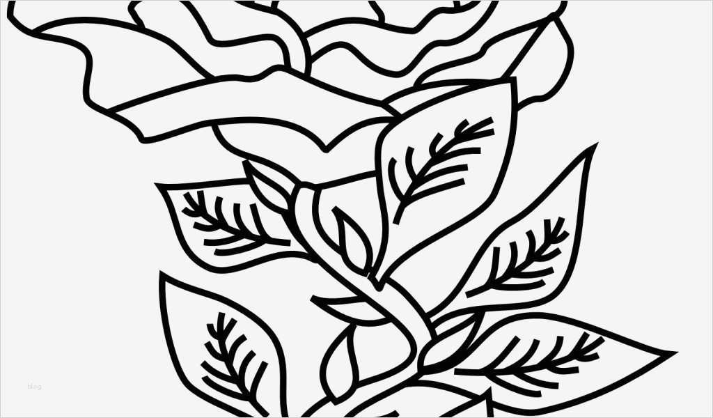Tattoo Vorlagen Pdf Genial Ziemlich Rose Vorlagen Kostenlos Ideen Beispiel