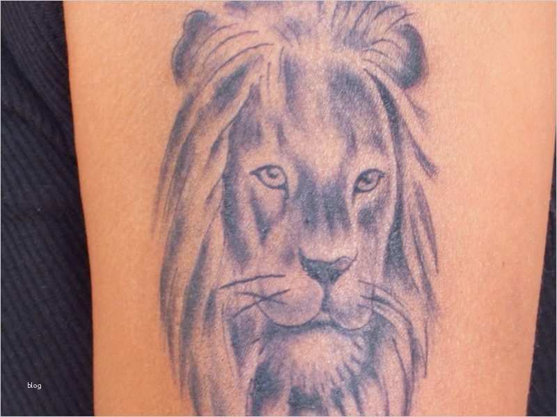 Tattoo Vorlagen Sternzeichen Waage Angenehm Tattoo Sternzeichen Und Symbole Tattoos Zenideen