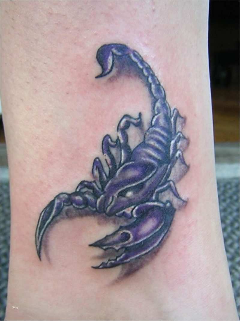 Tattoo Vorlagen Sternzeichen Waage Erstaunlich Tattoo Sternzeichen Und Symbole Tattoos Zenideen