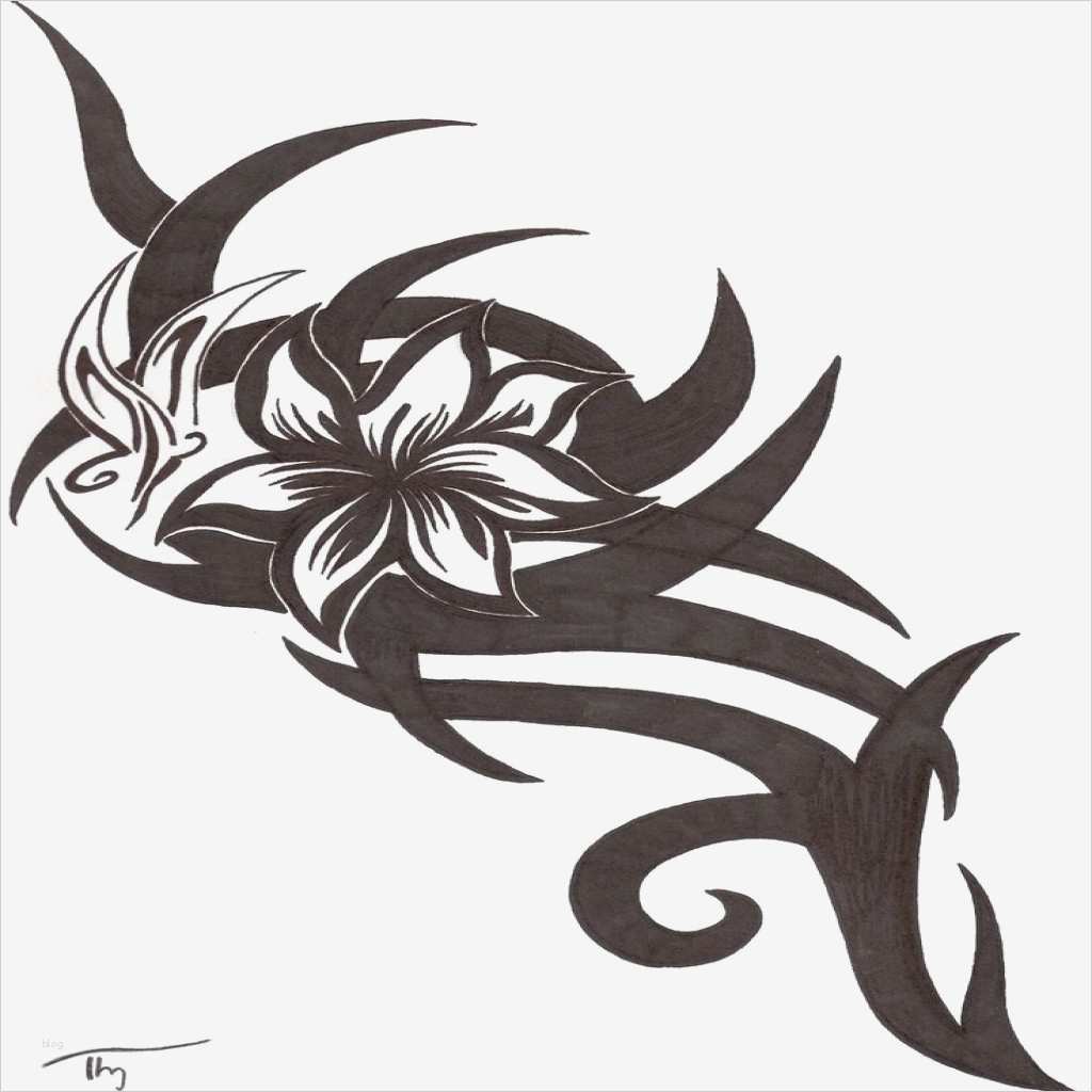 Tattoo Vorlagen Zum Ausdrucken Fabelhaft Schöne Rosen Tribal Tattoo Vorlagen Avec Tribal Vorlagen