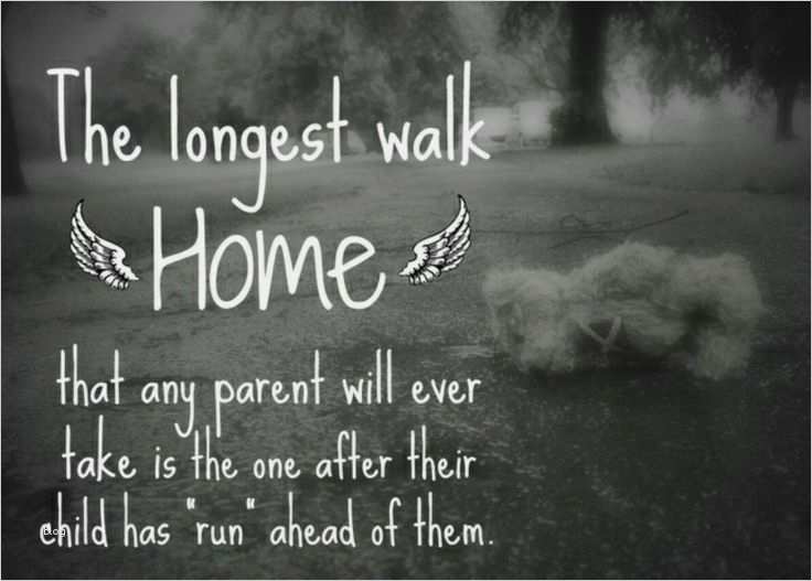 Terminplan Vorlage Excel Schönste Gallery Of Zeitplan Woche Mitarbeiterzeitplan Vorlage