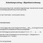 Testament Schreiben Vorlage Genial Schenkungsvertrag Muster Testament Vorlage