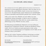 Testament Vorlage Alleinerbe Pdf Hübsch 12 Testament Vorlage