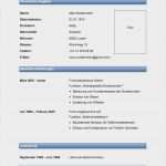 Testament Vorlage Kostenlos Downloaden Neu Berühmt Vorlage Eines Testaments Galerie Entry Level