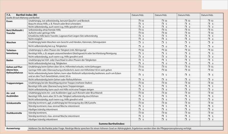 15 Wunderbar Tfdd Test Vorlage Vorräte 1 Tfdd Test Vorlage Erstaunlich 87 021 Barthel Mmst Plan2care Stationär