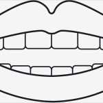 Therapiebericht Physiotherapie Vorlage Best Of Lippenstempel "e" Praxisbedarf Shop Buchner