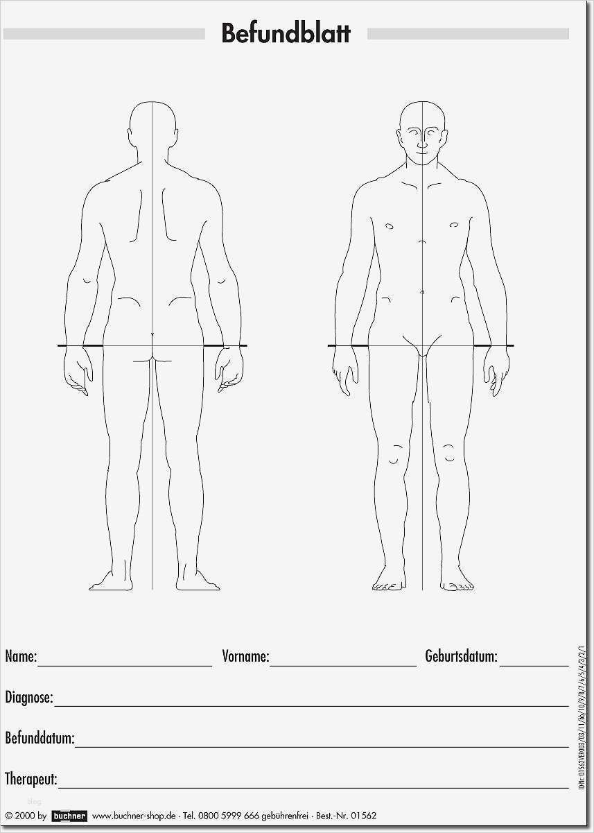 Therapiebericht Physiotherapie Vorlage Genial Befundblatt Mensch Für therapeuten Praxisbedarf Shop Buchner