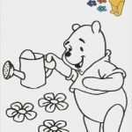 Tiermasken Für Kinder Vorlagen Erstaunlich atemberaubend Gesichtsvorlagen Für Kinder Ideen Beispiel