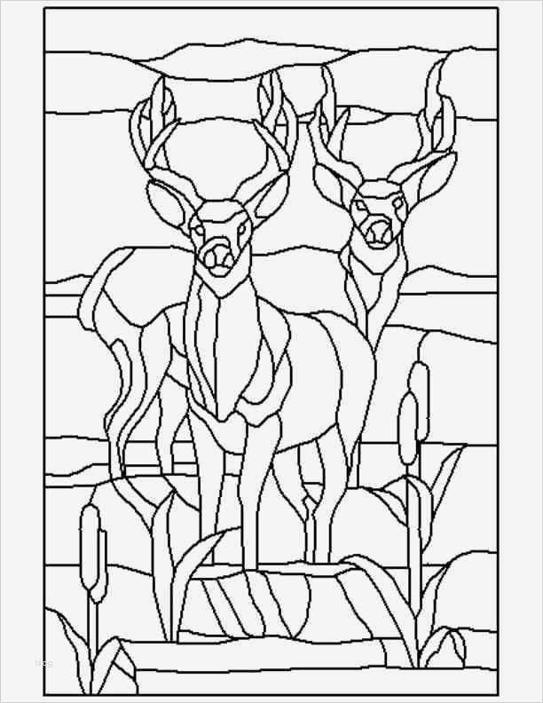 Tiffany Vorlagen Bücher Fabelhaft Kostenlose Tiffany Fenster Vorlagen Tiffany Vorlagen 343