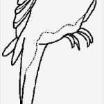 Tiffany Vorlagen Vögel Großartig 10 Vogel Ausmalbilder Zum Ausdrucken