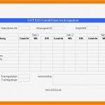 Trainingsplan Fitnessstudio Vorlage Bewundernswert 11 Vorlage Trainingsplan