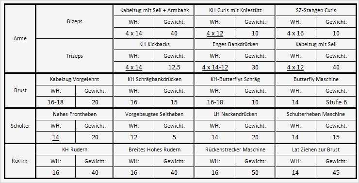 Trainingsplan Fitnessstudio Vorlage Einzigartig Ich Trainiere Du Auch Trainingsplan Und Tagebuch Woche 3