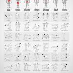 Trainingsplan Muskelaufbau Vorlage Elegant Trainingsplan Für Fitness Übungen Mit Dem Eigenen