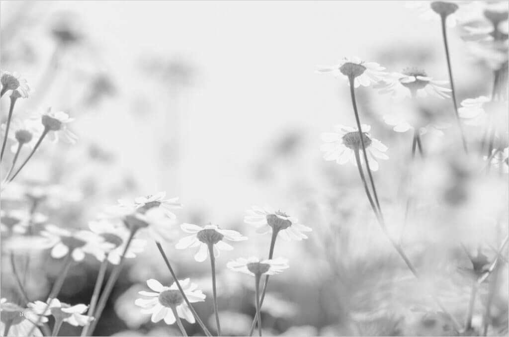 Trauerkarten Vorlagen Kostenlos Best Of Trauerkarten Ausdrucken Kostenloser Download Für Private