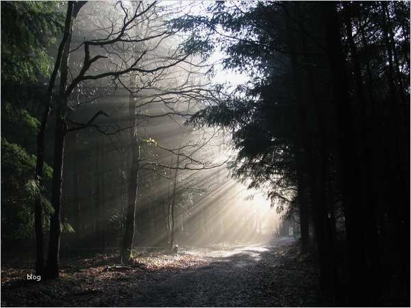 Trauerkarten Vorlagen Kostenlos Beste 01 08 Januar 2014 Die 25 Bilder Mit Den Meisten