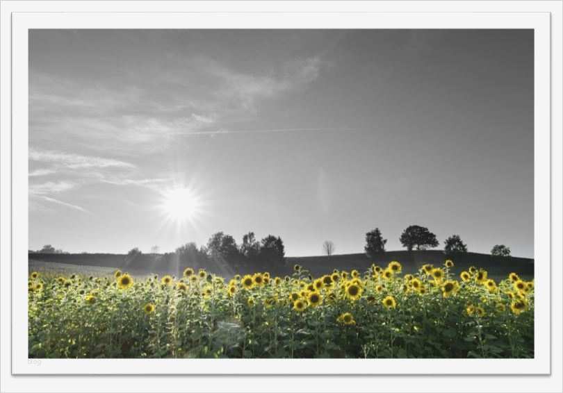 Trauerkarten Vorlagen Kostenlos Bewundernswert Trauerkarten Ausdrucken Kostenloser Download Für Private