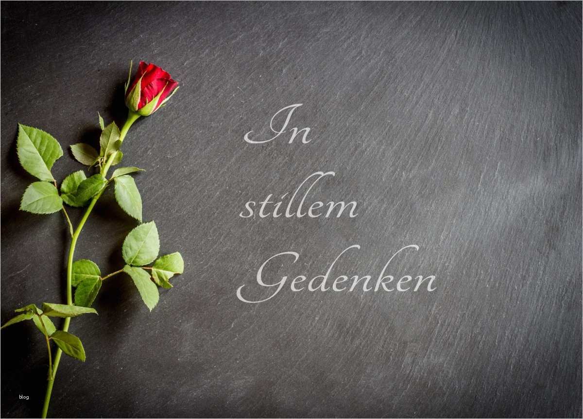 Trauerkarten Vorlagen Kostenlos Süß Beileidsbekundung Rehm Bestattungen