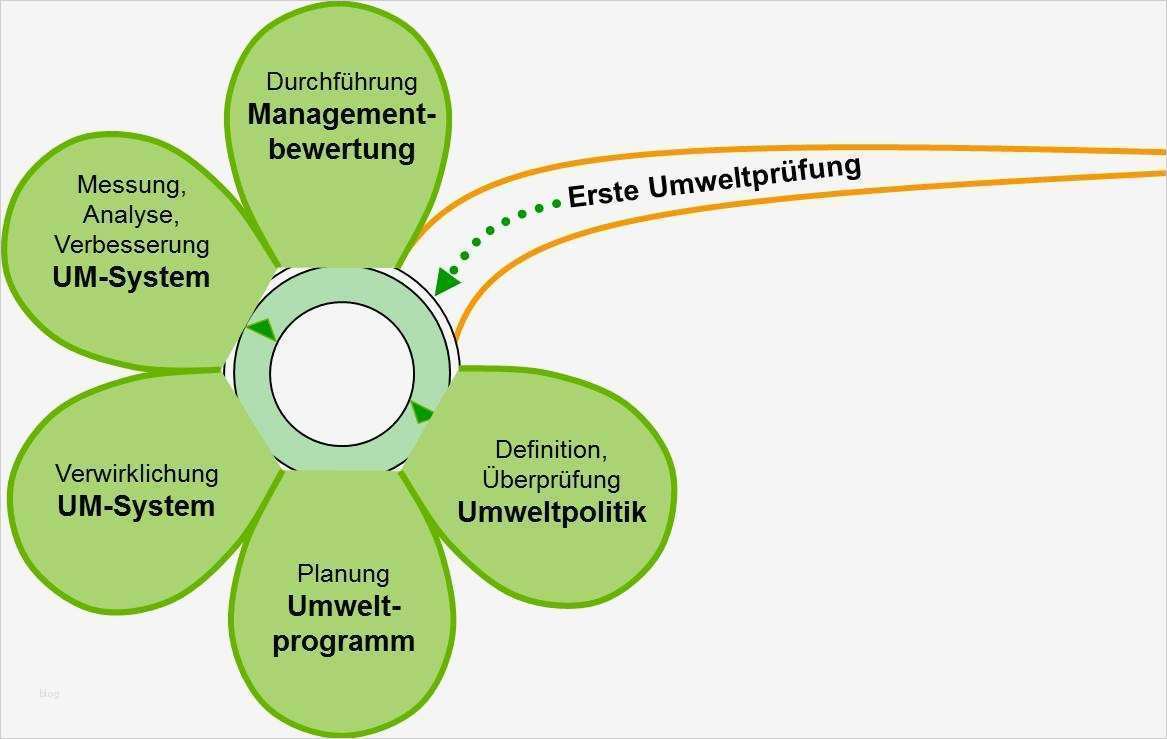 Turtle Diagramm Vorlage Luxus Umweltmanagement iso