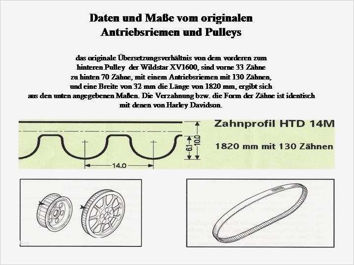 Typenschild Vorlage Download Cool Gutachten Und Anbautips Wildstarfreunde Schleswig Holstein