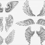 über Uns Vorlage Wunderbar Heraldische Flügel Gesetzt Vektorgrafik