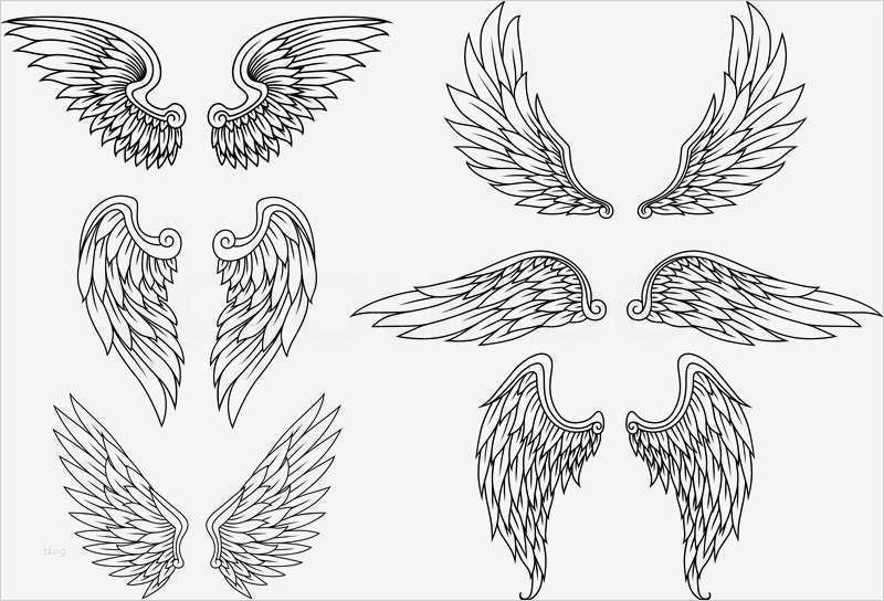 über Uns Vorlage Wunderbar Heraldische Flügel Gesetzt Vektorgrafik