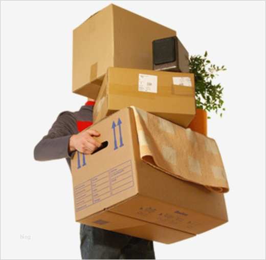 Umzug Neue Adresse Mitteilen Vorlage Schön Strom Abmelden Strom Ummelden Strom Anmelden so Gehts