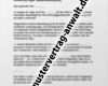 Unterlassungserklärung Vorlage Pdf Wunderbar Niedlich Verkäufer Vertragsvorlage Ideen Ideen