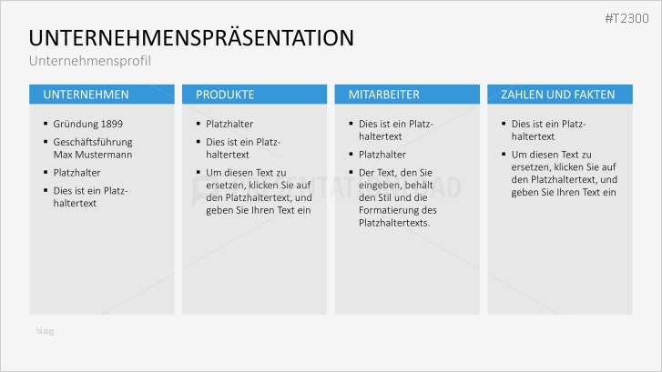 Unternehmenspräsentation Powerpoint Vorlage Einzigartig Gemütlich Firmenprofil Ppt Vorlage Galerie Entry Level