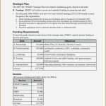 Vertriebsplan Vorlage Excel Hübsch Ziemlich Marketing Plan Beispiel Galerie Bilder Für Das