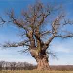 Vorlage Abmahnung Zu Spät Kommen Hübsch Erbarmen Zu Spät Hesse Kommen Netzwerk