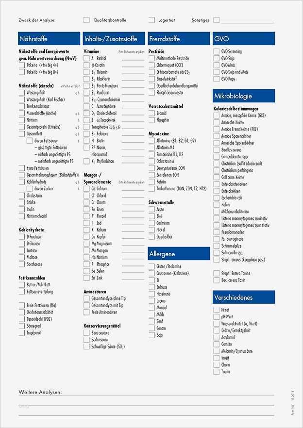 Vorlage Abnahmeprotokoll Bauleistung Erstaunlich Abnahmeprotokoll Vorlage Word Einzigartig