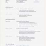 Vorlage Bewerbung Fsj Elegant Bewerbung Fsj Vorlage Stellenanzeige Muster