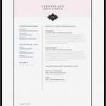 Vorlage Bewerbung Fsj Erstaunlich 73 Modell Bewerbung Fsj Vorlage Cool