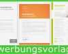 Vorlage Cv English Word Erstaunlich Cv Examples and Cover Letter In Word & Open Fice Download