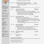 Vorlage Cv English Word Gut Free Curriculum Vitae Template Word Download Cv Template