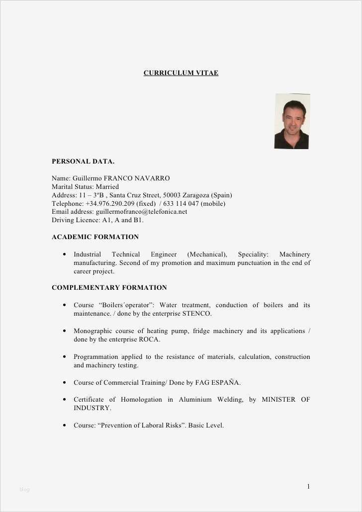 Vorlage Cv English Word Hübsch Examples Pour élaborer Un Curriculum Vitae Et Une Lettre