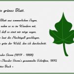 Vorlage Elternbrief Ausflug Best Of Ein Grünes Blatt – theodor Storm Cliparts