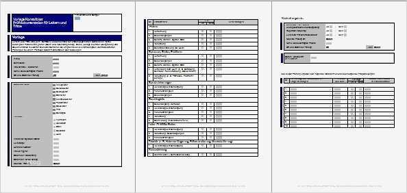 Vorlage Gefährdungsbeurteilung Kostenlos Genial Betriebssicherheitspraxis Rechtssichere Vorlagen Und