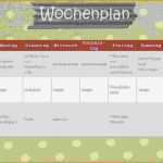 Vorlage Haushaltsplan Excel Elegant 10 Putzplan Wochenplan
