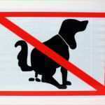 Vorlage Kein Hundeklo Schönste Reflektierendes Aluminium Schild Hier Kein Hundeklo