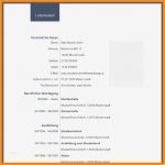Vorlage Langzeitlieferantenerklärung 2018 Süß 12 Muster Lebenslauf 2016