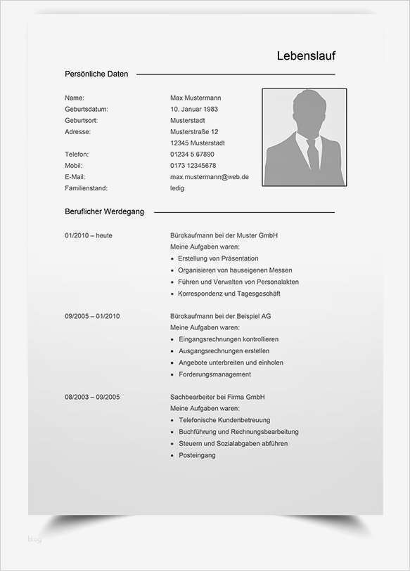 Vorlage Lebenslauf Professionell Genial Lebenslauf Vorlage 16 Professionelles Bewerbungsdesign Word
