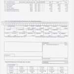 Vorlage Minijob Abrechnung Beste Gemütlich Gehaltsabrechnung Vorlage Fotos Bilder Für Das