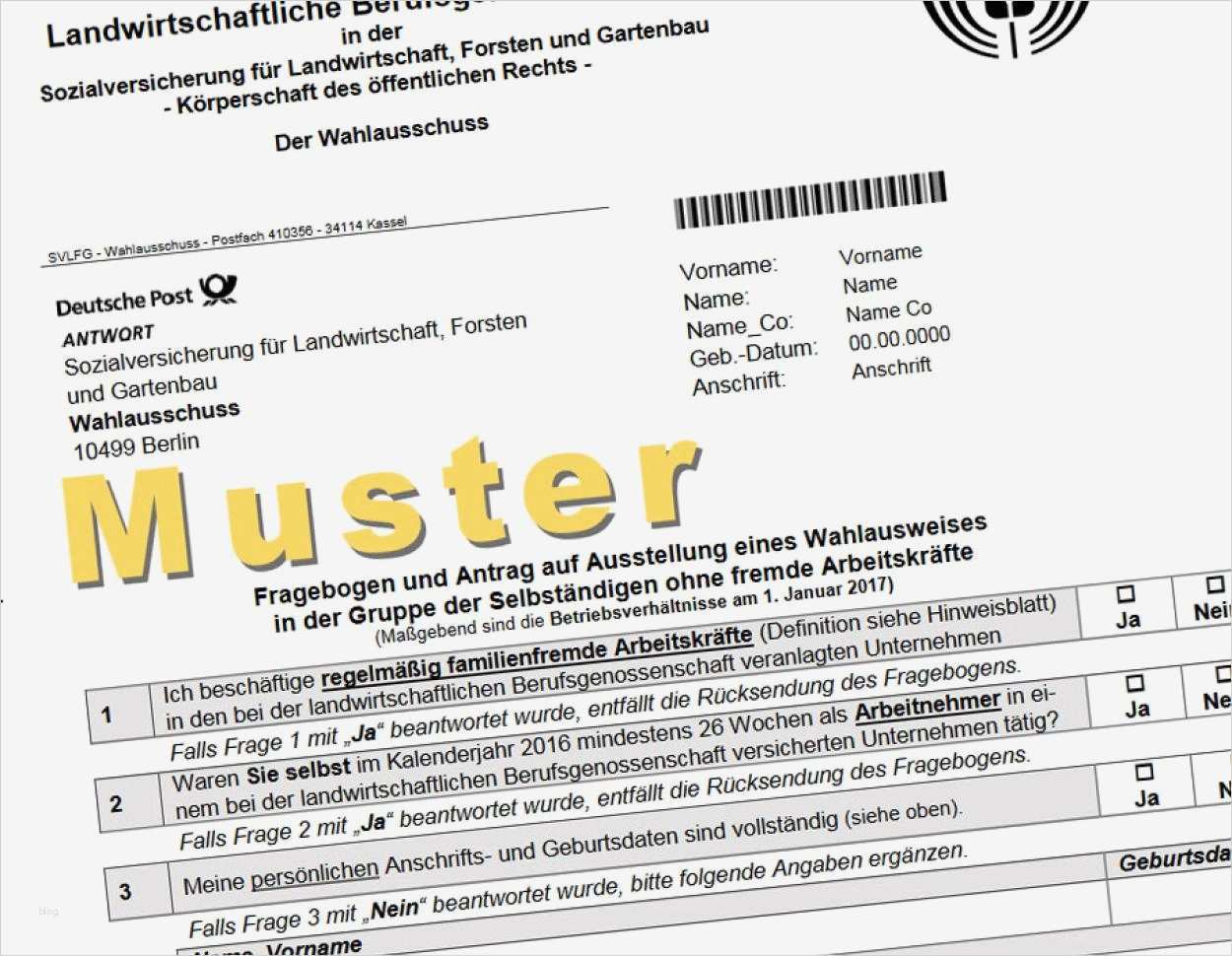 Vorlage Mitarbeiterbefragung Word Wunderbar Schön Demographie Fragebogen Vorlage Ideen Ideen