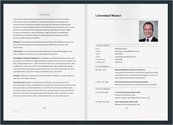 Vorlage Professioneller Lebenslauf Elegant Erfolgreich Bewerben In Der Schweiz