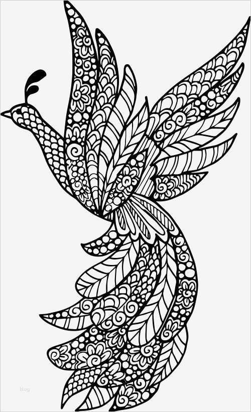 Vorlage Servicebericht Kostenlos Luxus Nett Bewerbungsschreiben Per E Mail Senden Was Zu