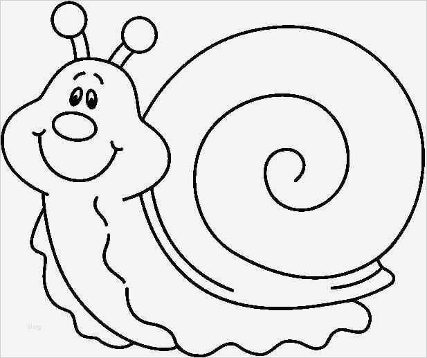 Vorlage Spirale Zum Ausschneiden Inspiration Ausmalbilder Tiere Kostenlos 02 Basteln