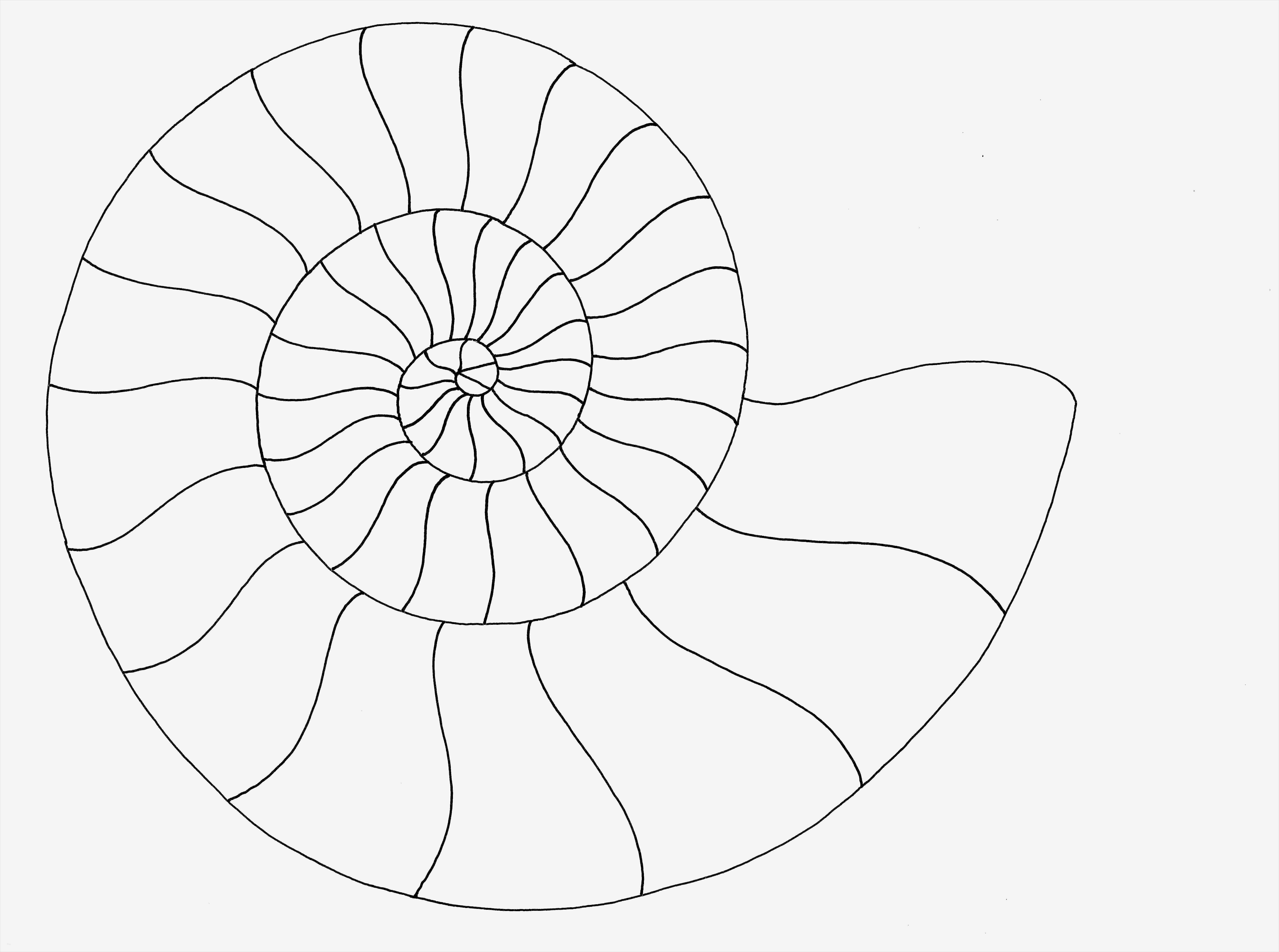 Vorlage Spirale Zum Ausschneiden Neu Nett Schnecke Vorlage Bilder Beispiel Wiederaufnahme
