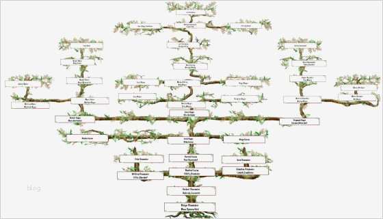 Vorlage Stammbaum Erstellen Inspiration Suhrsoft Individualsoftware Und Genealogieprogramme